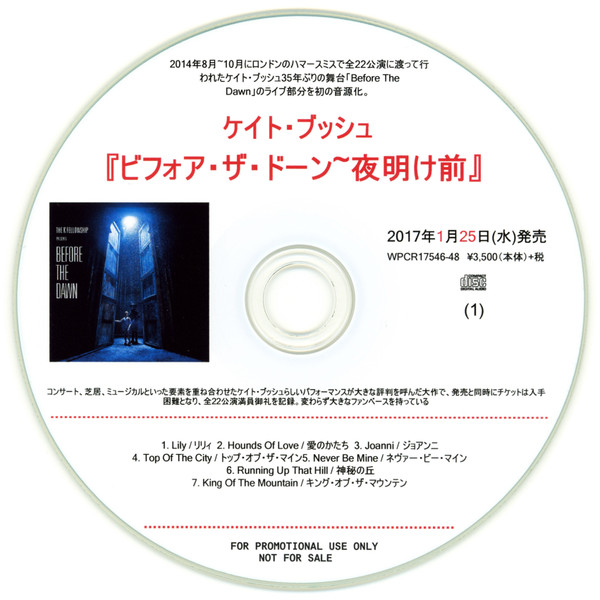 ãƒ“ãƒ•ã‚©ã‚¢ ã‚¶ ãƒ‰ãƒ¼ãƒ³ ï½žå¤œæ˜Žã‘å‰ = Before The Dawn